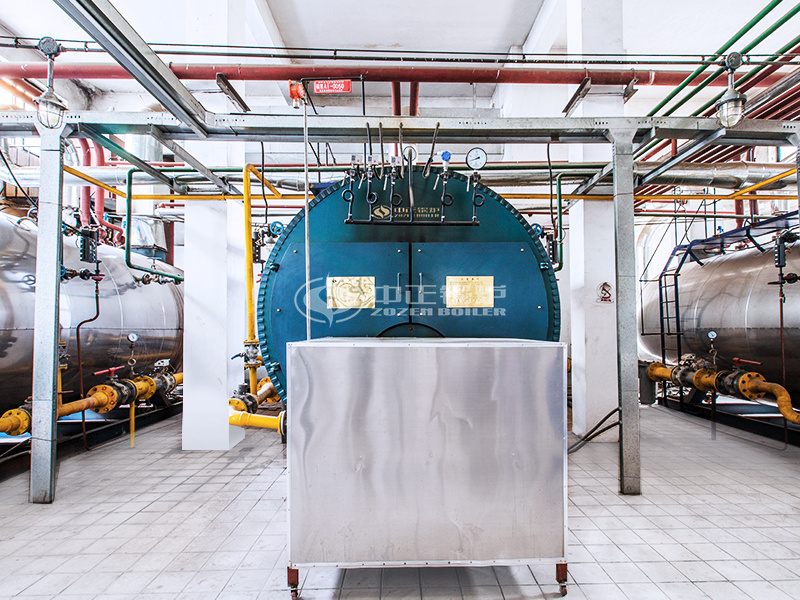 金新農(nóng)飼料4噸WNS系列冷凝式燃?xì)忮仩t項(xiàng)目